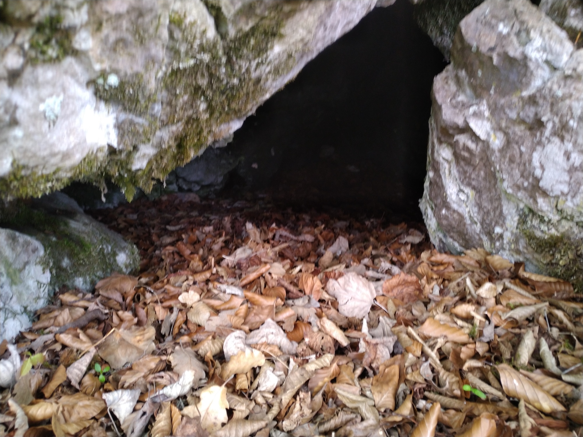 Peştera nr. 4 din Naveşul Mare - Image 1